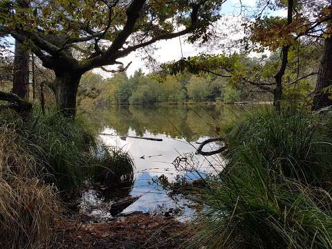 Moat Pond photo